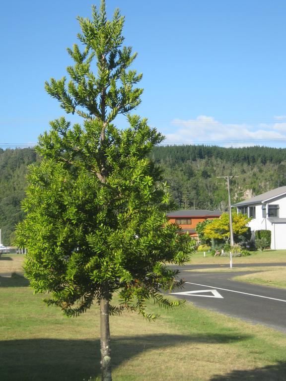Addsbury House Apartment Уангамата Екстериор снимка